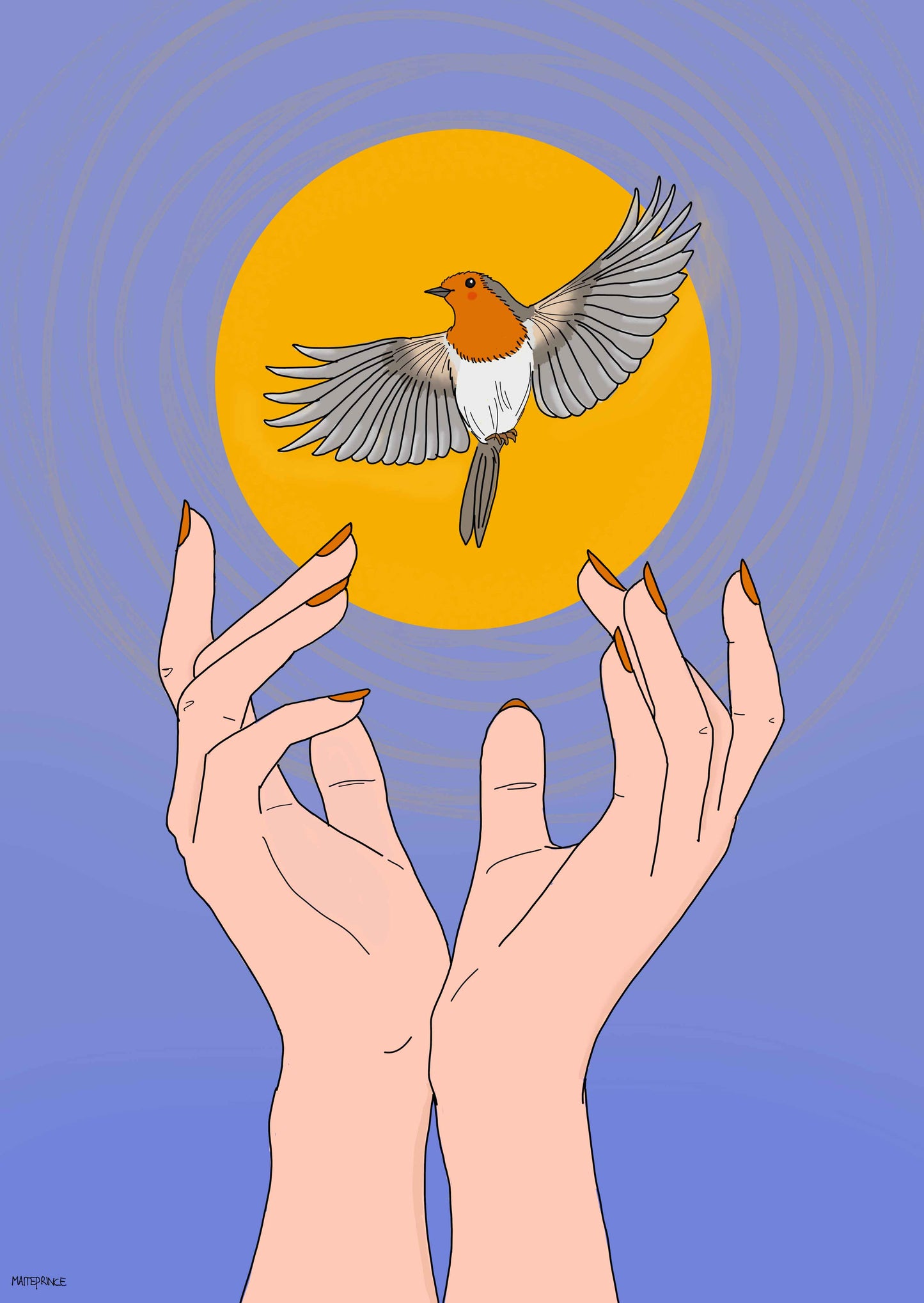 Robin goodbye | Maite Prince